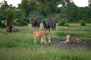 Leopard Sands, Kruger Park