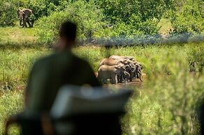Leopard Sands, Kruger Park