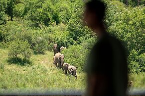 Leopard Sands, Kruger Park