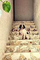 Canova Hostel & Pizza