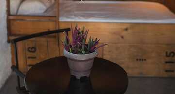 Canova Hostel & Pizza