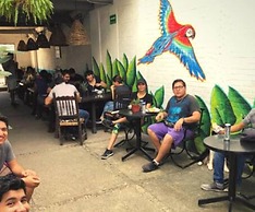 Canova Hostel & Pizza