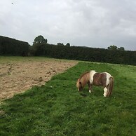 Impeccable Cottage Suitable for 2 Adults & 1 Child