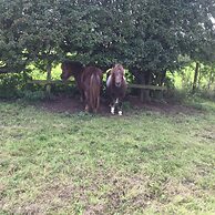 Impeccable Cottage Suitable for 2 Adults & 1 Child