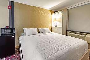 Umbrella Hotel Brooklyn