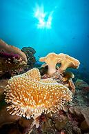 Cora Cora Maldives-Premium All-Inclusive