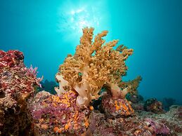 Cora Cora Maldives-Premium All-Inclusive