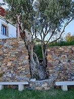 Minos Country Living Apartments