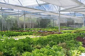 Le Meridien Maldives Resort & Spa