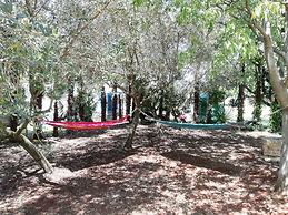 Villa Valeta 500 Meters From the Beach