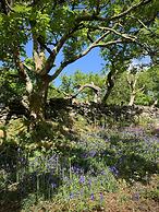 Cottage Dinorwig, get Away From it all