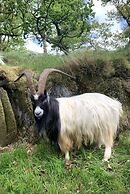 Cottage Dinorwig, get Away From it all