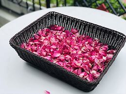 Cat Cat Galerie d'Art