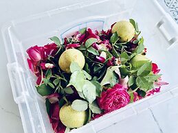 Cat Cat Galerie d'Art