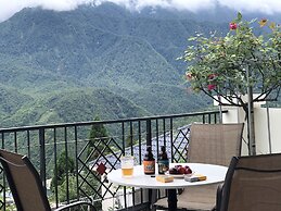 Cat Cat Galerie d'Art