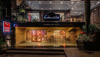 Cat Cat Galerie d'Art