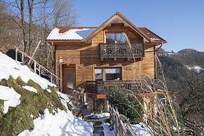 Pool & Wellness Chalet Sunshine