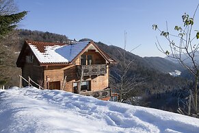 Pool & Wellness Chalet Sunshine