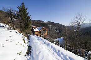 Pool & Wellness Chalet Sunshine