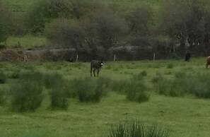 Delightful Bungalow Near Skibbereen & Baltimore