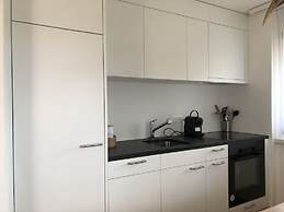 Renovated 3 Rooms Apartment in Ruschein Near Laax