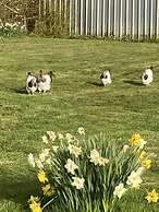 Glamping at The Homestead - Ensuite Bell Tent
