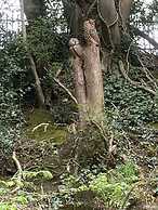 Glamping at The Homestead - Ensuite Bell Tent