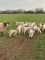 Glamping at The Homestead - Ensuite Bell Tent