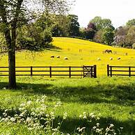 New- Tranquil & Gorgeous Countryside 3br/2bath Home on 1 Acre - 20 Min