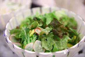 Dormy Inn Express Gotemba Hot Springs