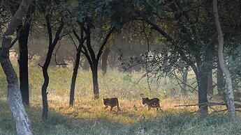 The Postcard Gir Wildlife Sanctuary