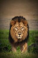 The Postcard Gir Wildlife Sanctuary