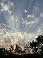 The Postcard Gir Wildlife Sanctuary