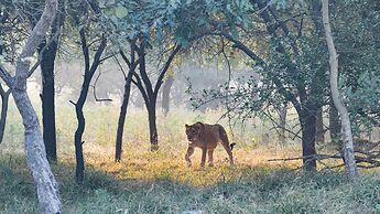 The Postcard Gir Wildlife Sanctuary