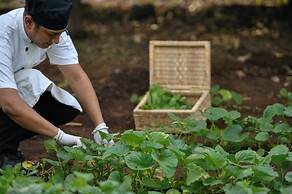 The Postcard Gir Wildlife Sanctuary