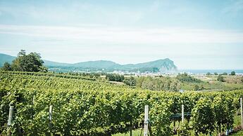 Yoichi Vineyard Glamping