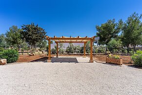 2003 Villetta Dolores