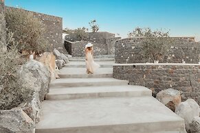 Oyster Luxury Suites