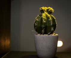 Revelton H - The Bridge Apartments