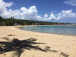 Golden Dream Studio 306 B