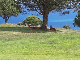 Casa Ribadevega En La Playa De Vega