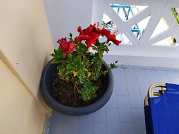 A Studio With Balcony