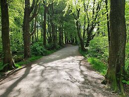 Bright And Modern - 2-bedroom, Central, Free Parking