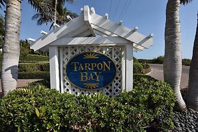 Captiva Tarpon
