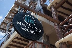Macondo Holbox