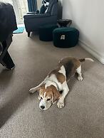 Dog Friendly - 4 Bed House - Sleeps 10 - Pool Table