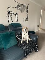 Dog Friendly - 4 Bed House - Sleeps 10 - Pool Table