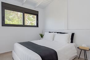 Athenian Black Villa