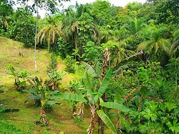 Corcovado Private Villas