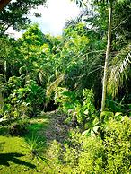 Corcovado Private Villas